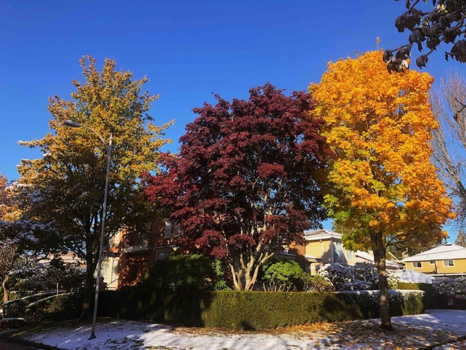 Super Cosy 8Bed & 6Bath In Vancouver Heart Near To Airport And Downtown Exteriör bild