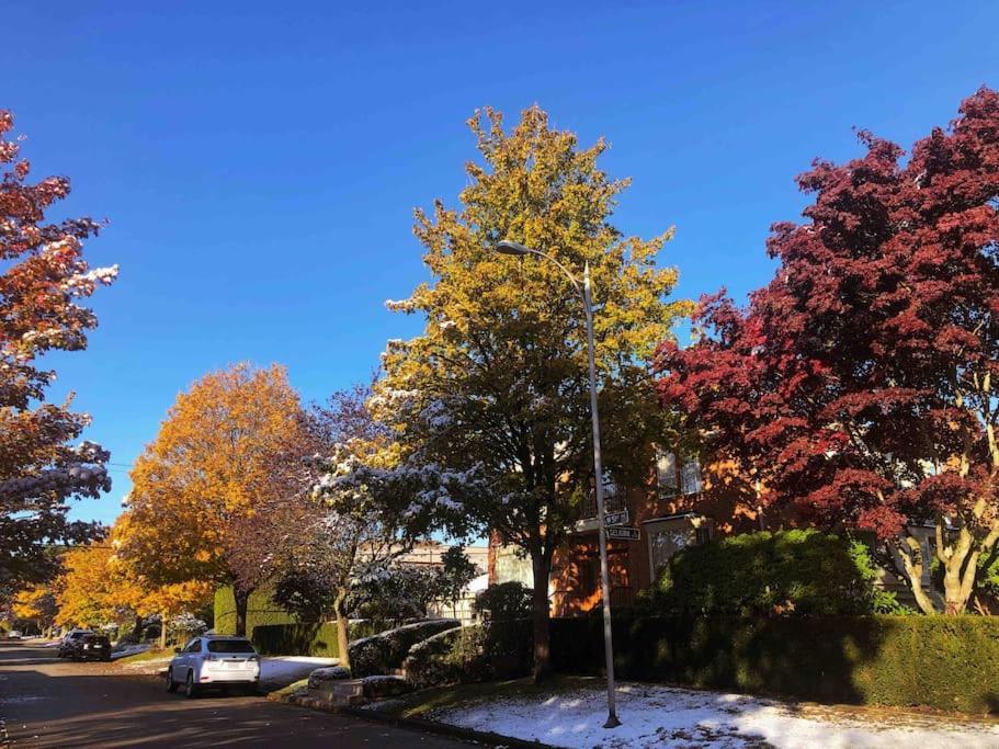 Super Cosy 8Bed & 6Bath In Vancouver Heart Near To Airport And Downtown Exteriör bild